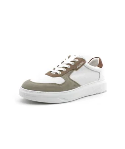 Homme L'Empreinte Chaussures FLUCHOS F1970 BOSTON