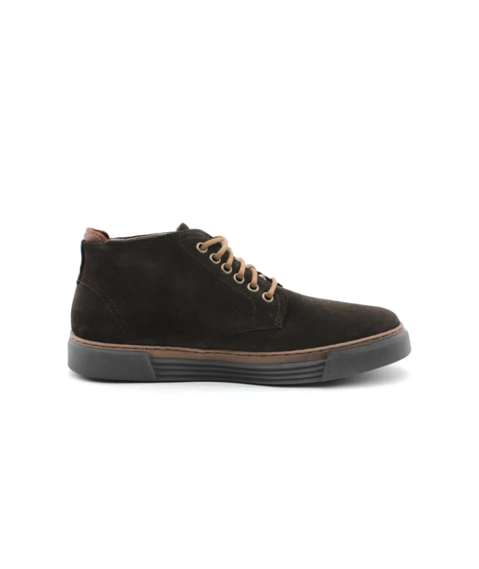 Homme L'Empreinte Chaussures PIUS GABOR 0460.11.14