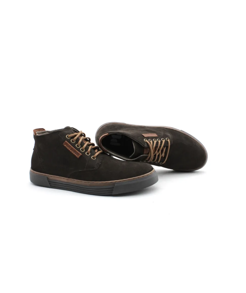 Homme L'Empreinte Chaussures PIUS GABOR 0460.11.14