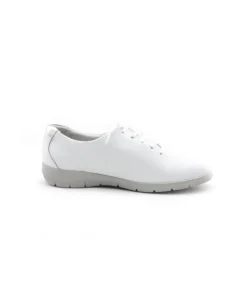 Femme L'Empreinte Chaussures SUAVE OXFORD 6657DT